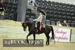 24BUCK_12597 thumbnail