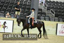 24BUCK_12599 thumbnail