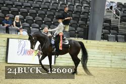 24BUCK_12600 thumbnail