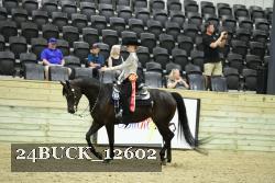 24BUCK_12602 thumbnail