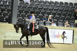 24BUCK_12603 thumbnail