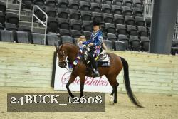 24BUCK_12608 thumbnail