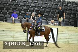 24BUCK_12611 thumbnail