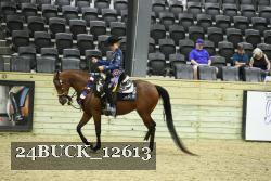 24BUCK_12613 thumbnail