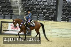 24BUCK_12614 thumbnail