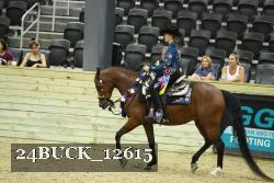 24BUCK_12615 thumbnail