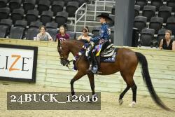 24BUCK_12616 thumbnail