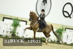 24BUCK_12621 thumbnail