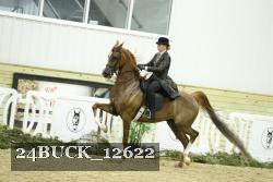 24BUCK_12622 thumbnail