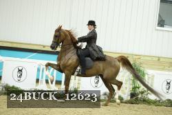 24BUCK_12623 thumbnail