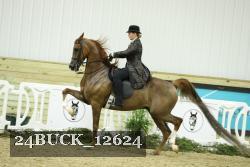 24BUCK_12624 thumbnail