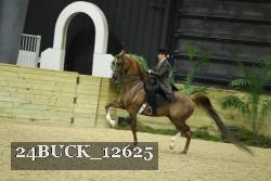 24BUCK_12625 thumbnail
