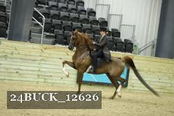 24BUCK_12626 thumbnail