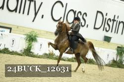 24BUCK_12631 thumbnail