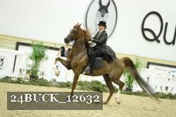 24BUCK_12632 thumbnail