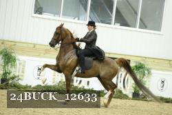 24BUCK_12633 thumbnail