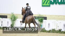 24BUCK_12636 thumbnail