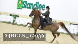 24BUCK_12639 thumbnail