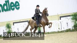 24BUCK_12641 thumbnail