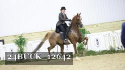 24BUCK_12642 thumbnail