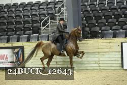 24BUCK_12643 thumbnail