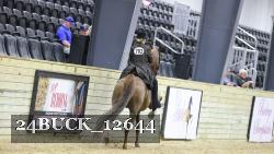 24BUCK_12644 thumbnail