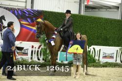 24BUCK_12645 thumbnail