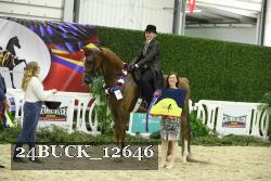 24BUCK_12646 thumbnail