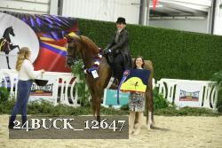 24BUCK_12647 thumbnail