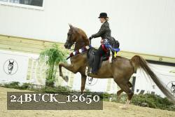 24BUCK_12650 thumbnail