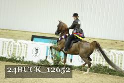 24BUCK_12652 thumbnail