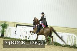 24BUCK_12653 thumbnail
