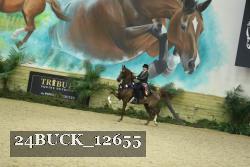 24BUCK_12655 thumbnail