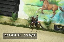 24BUCK_12656 thumbnail