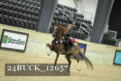 24BUCK_12657 thumbnail