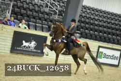 24BUCK_12658 thumbnail