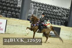 24BUCK_12659 thumbnail