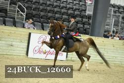 24BUCK_12660 thumbnail