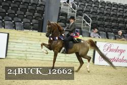 24BUCK_12662 thumbnail