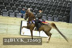 24BUCK_12663 thumbnail