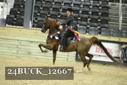 24BUCK_12667 thumbnail
