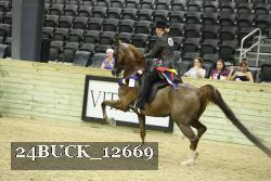 24BUCK_12669 thumbnail