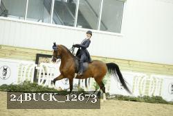 24BUCK_12673 thumbnail