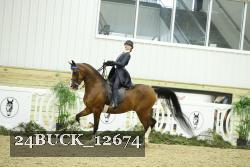 24BUCK_12674 thumbnail