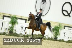 24BUCK_12675 thumbnail