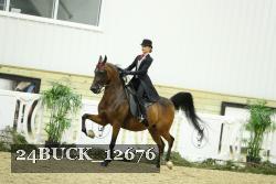 24BUCK_12676 thumbnail