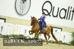 24BUCK_12677 thumbnail