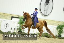 24BUCK_12678 thumbnail