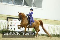 24BUCK_12679 thumbnail