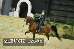 24BUCK_12680 thumbnail
